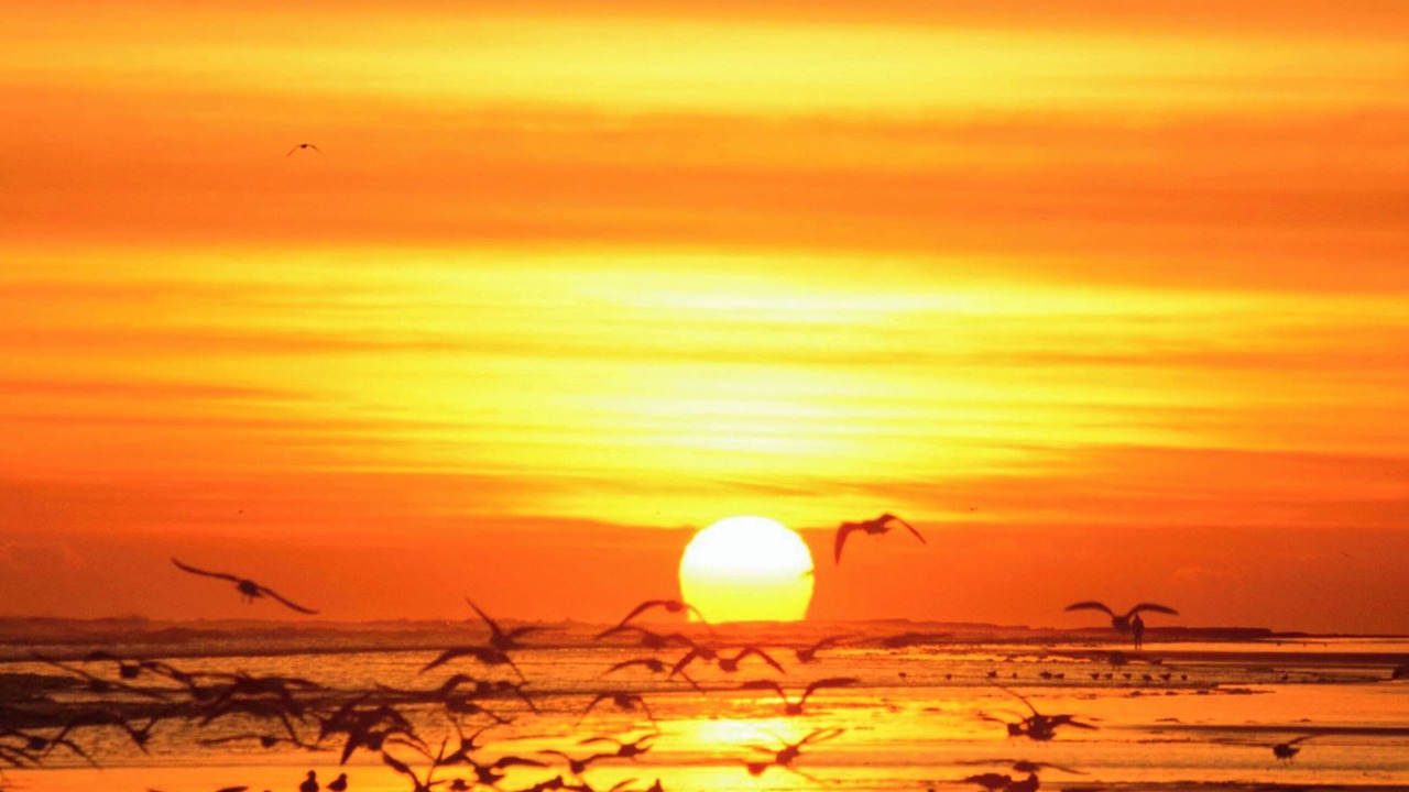 Photo of Others in Tweedmouth