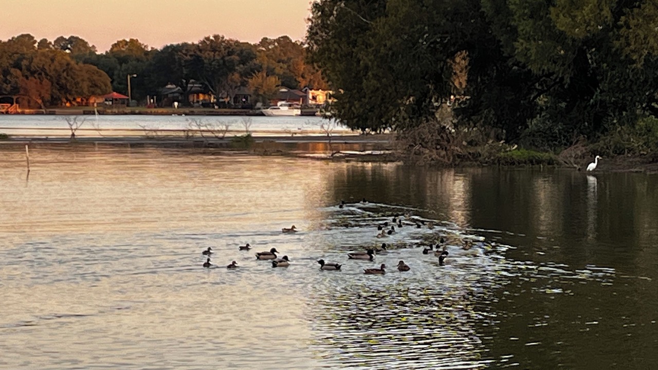 Photo of Others in Willis