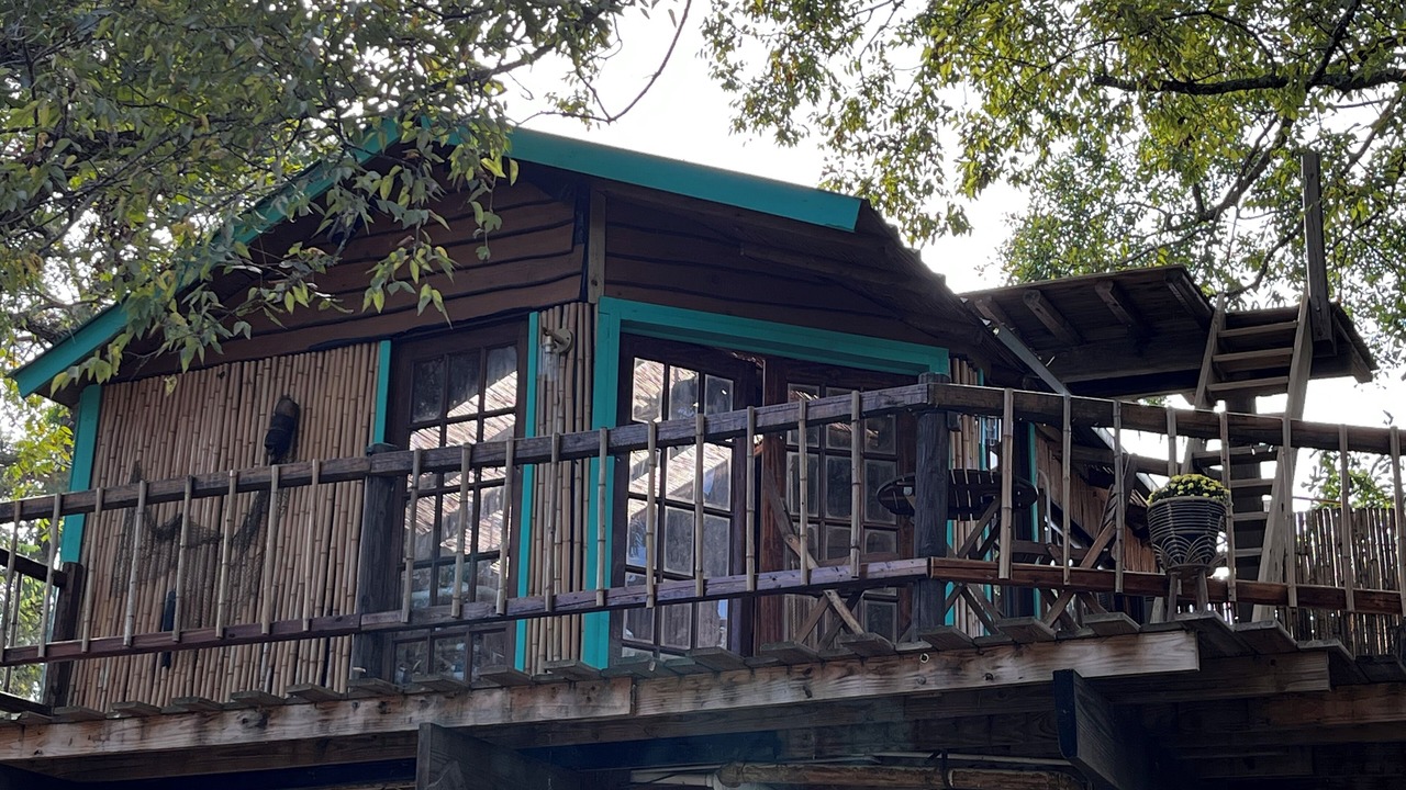 Photo of Outdoor in Willis