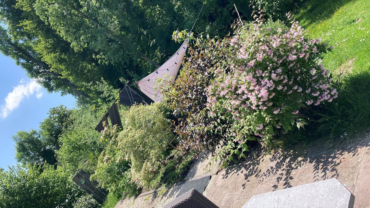 Photo of Others in Lindry