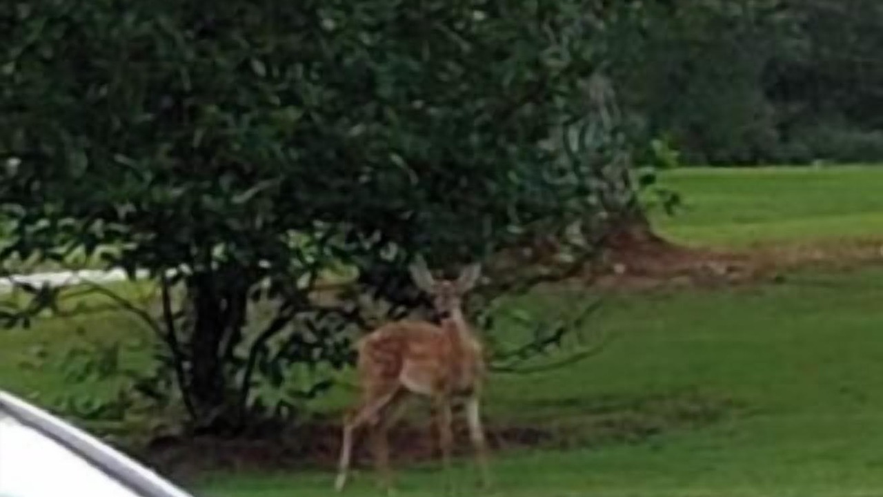 Photo of Others in Russellville