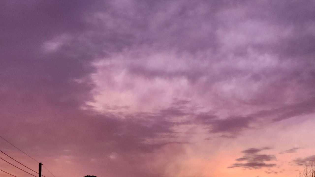 Photo of Others in Russellville