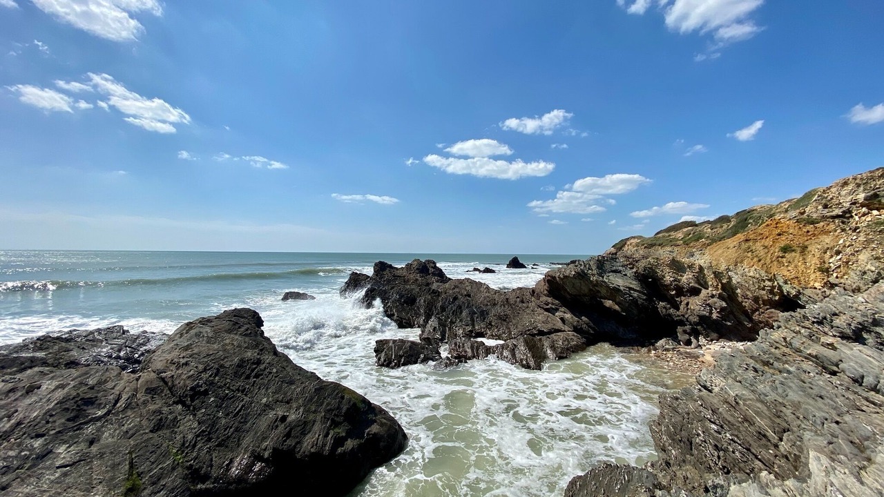 Photo of Others in Jard-sur-Mer