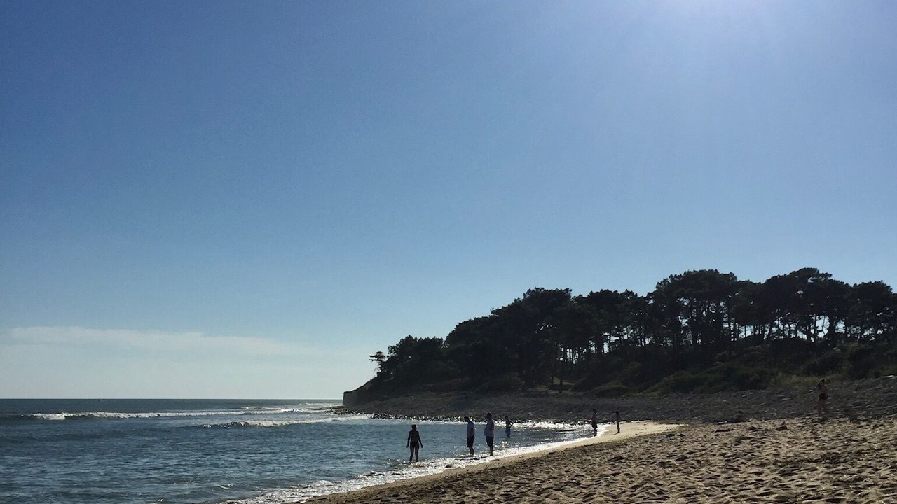 Photo of Others in Jard-sur-Mer