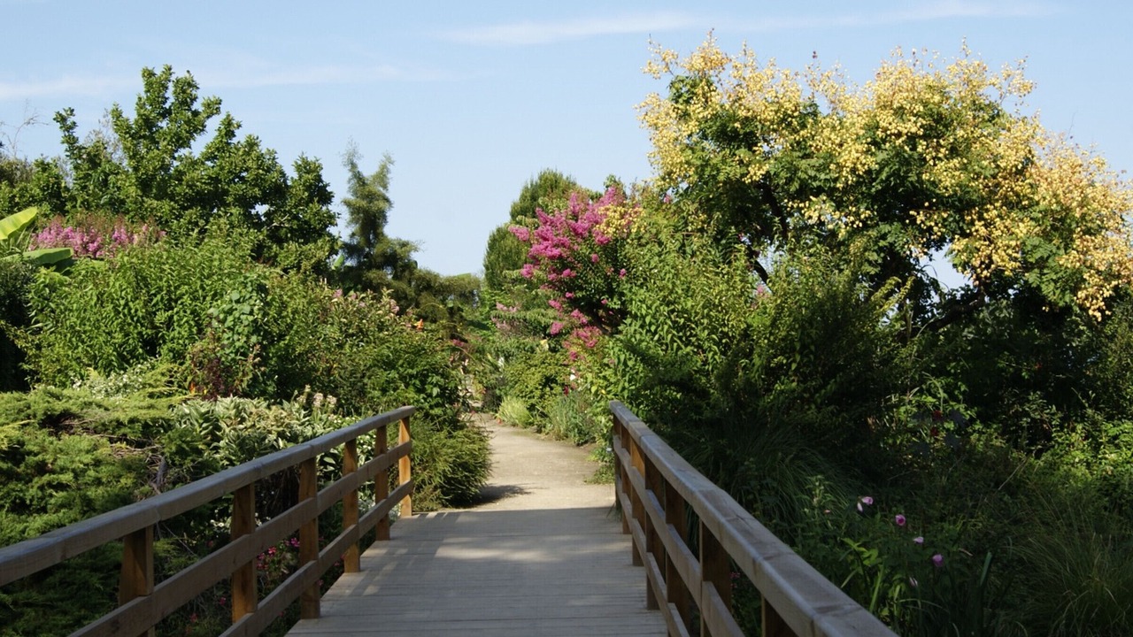 Photo of Outdoor in Mimizan