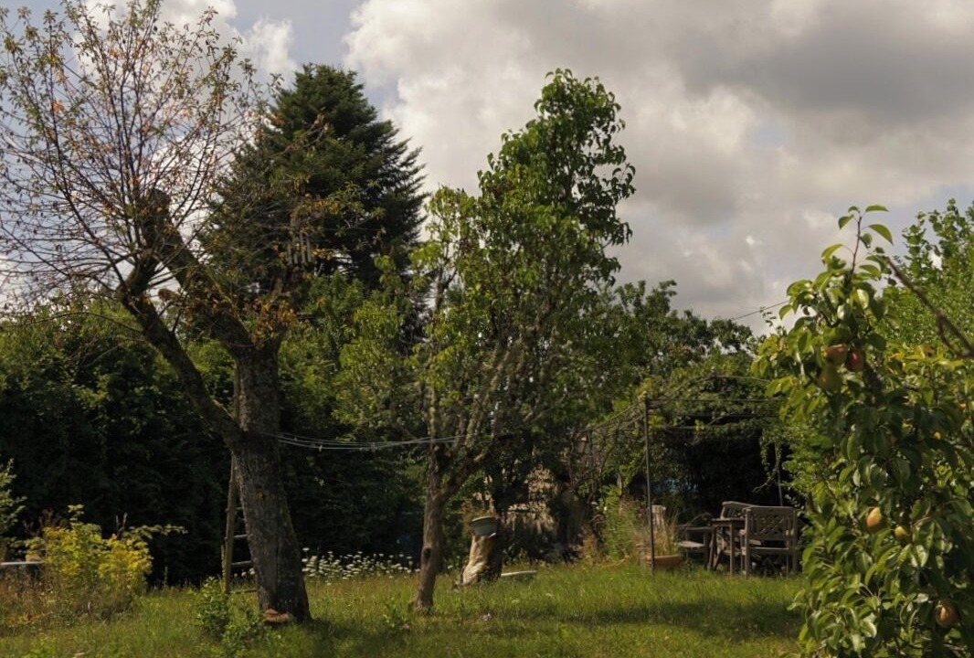 Photo of Others in Anost