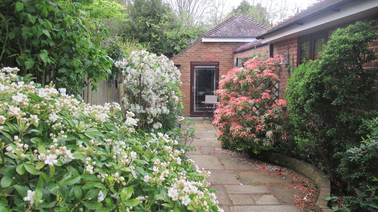 Photo of Outdoor in Henfield