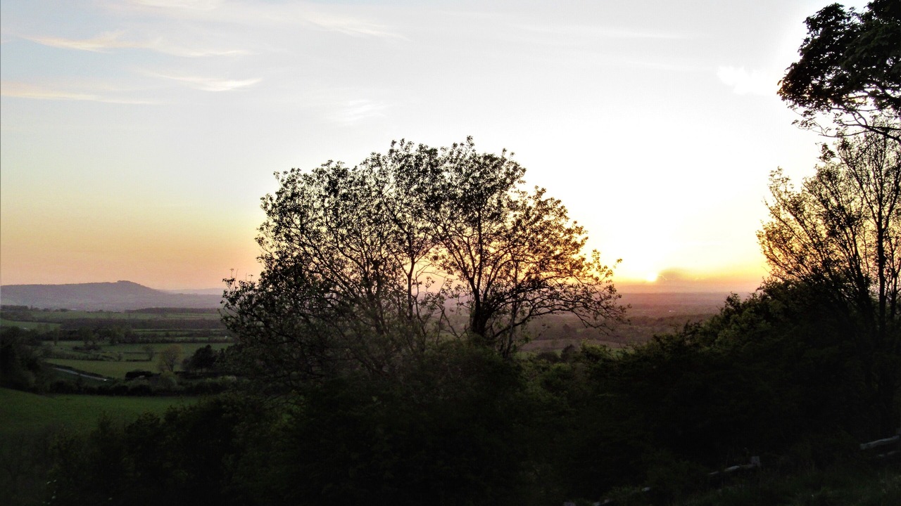 Photo of Others in Henfield