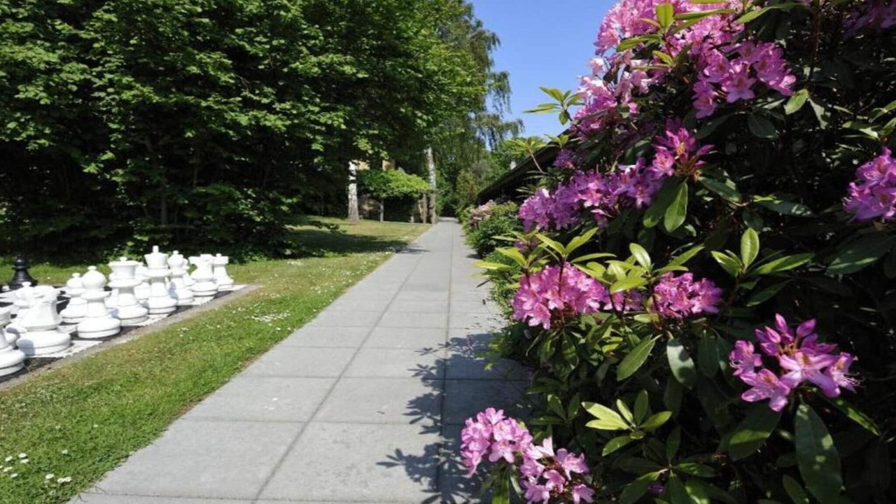 Photo of Outdoor in Balka