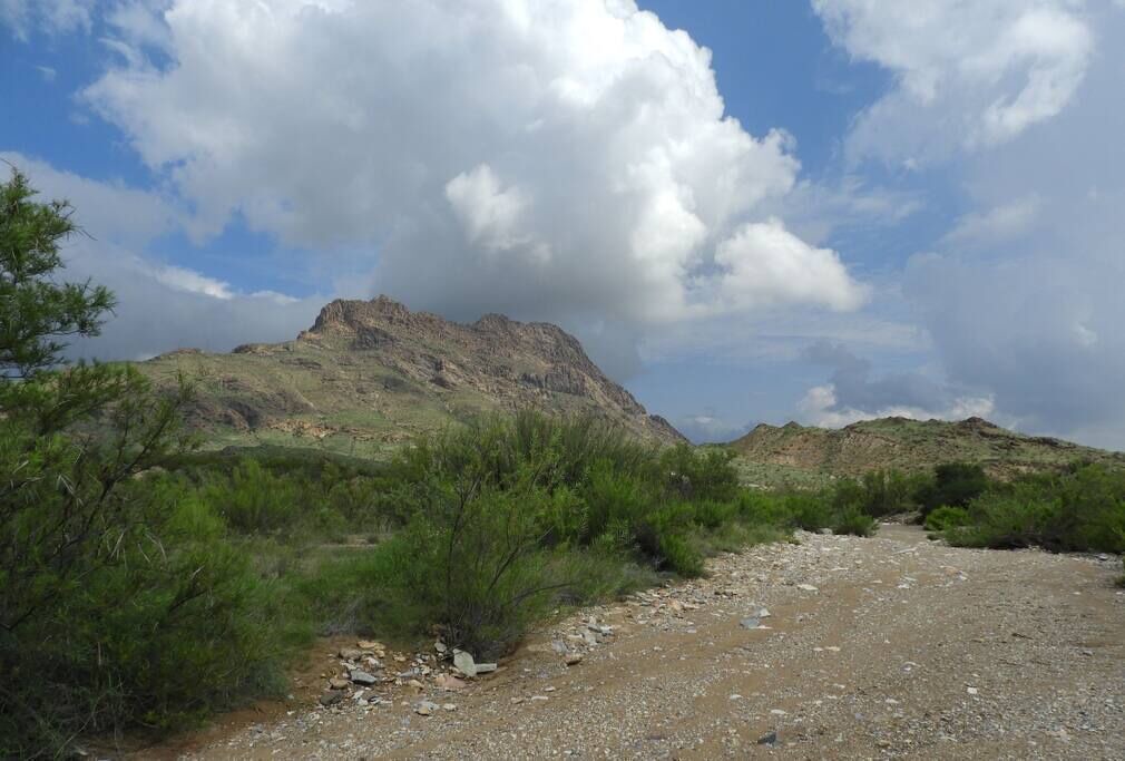 Photo of Others in Brewster County
