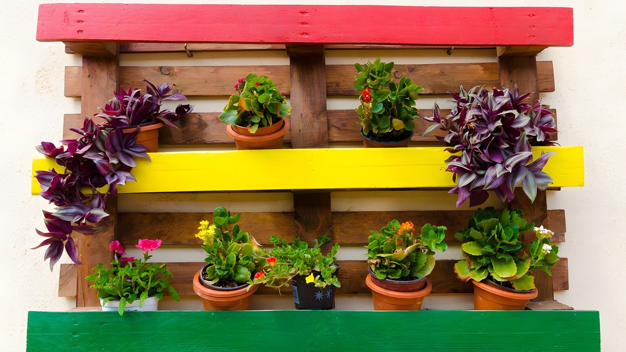 Photo of Outdoor in Casas de Tallante