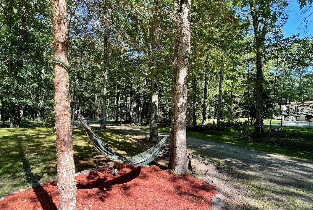 Photo of Others in White Mills