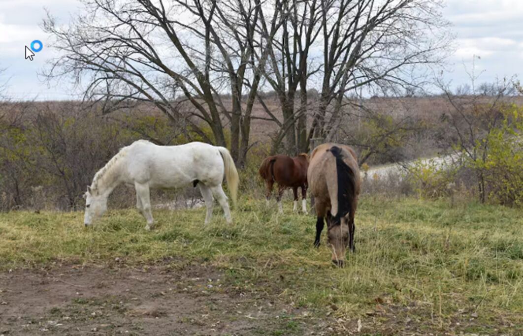 Photo of Others in Indianola