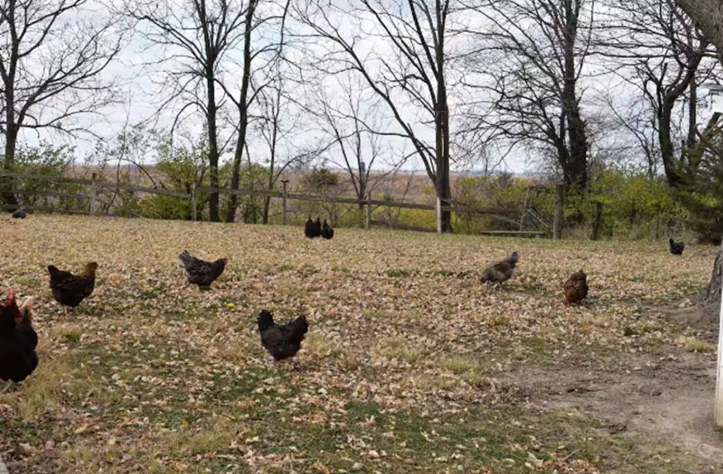 Photo of Others in Indianola