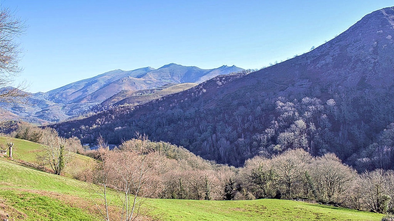 Photo of Others in Bagneres-de-Bigorre