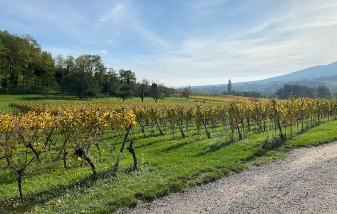 Photo of Others in Soultz-Haut-Rhin