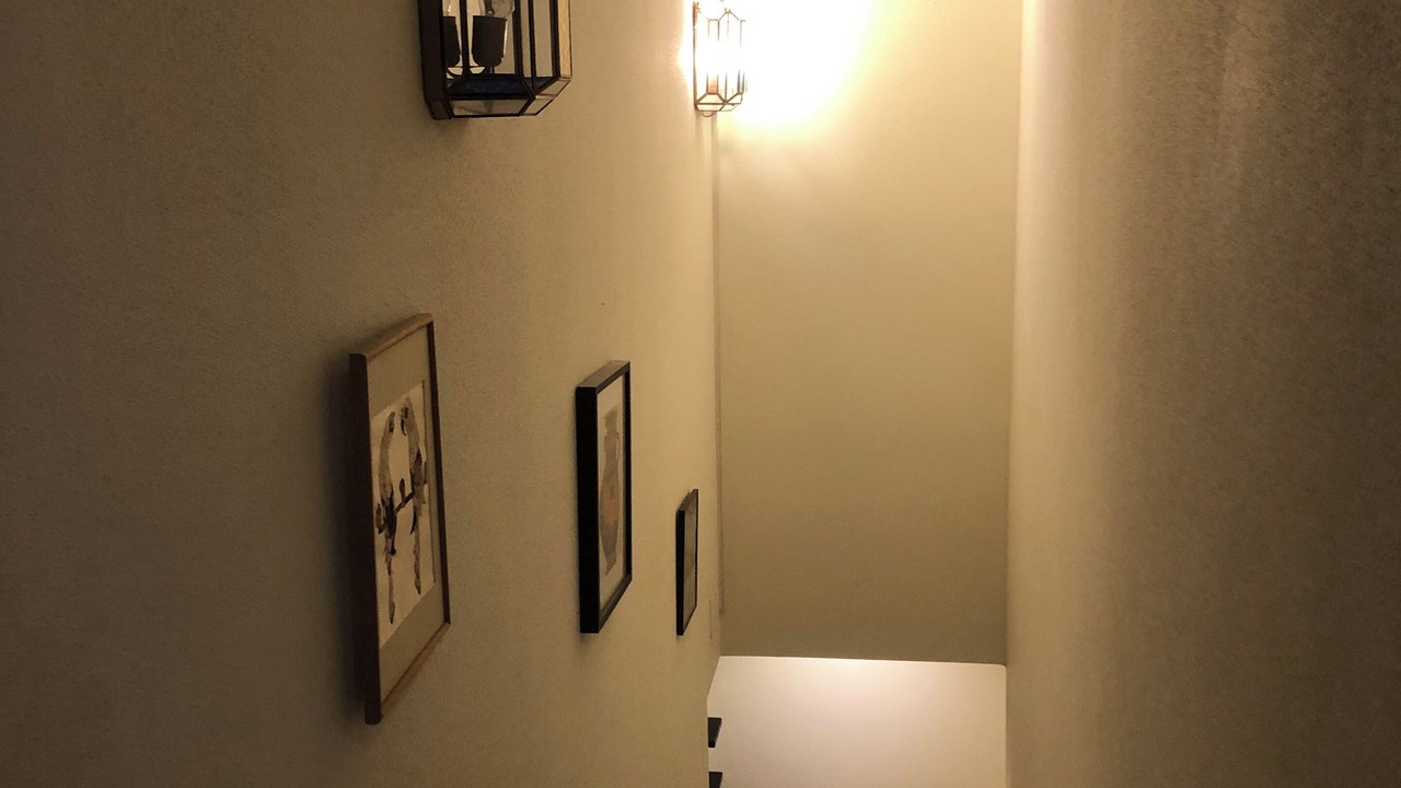 Photo of Others in Montreal