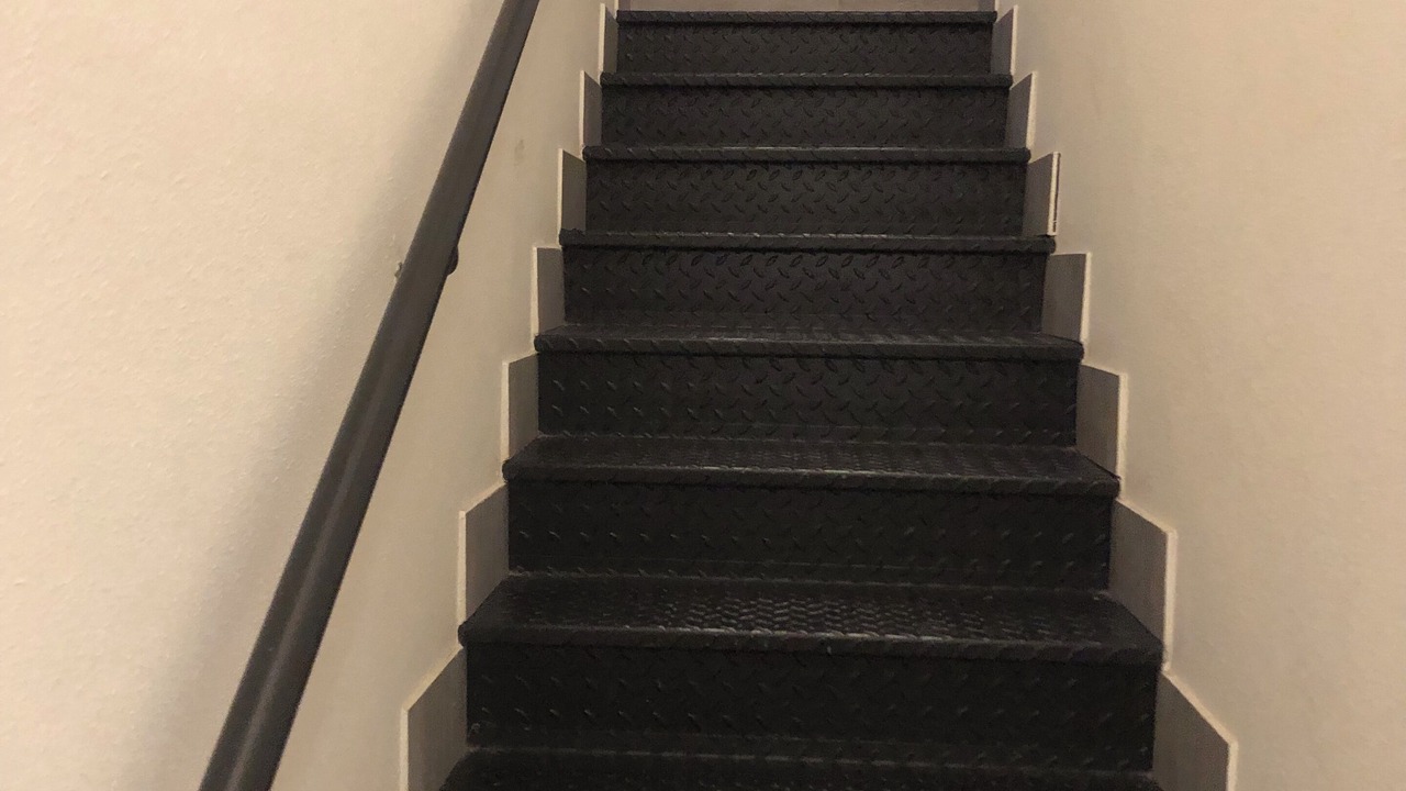 Photo of Others in Montreal