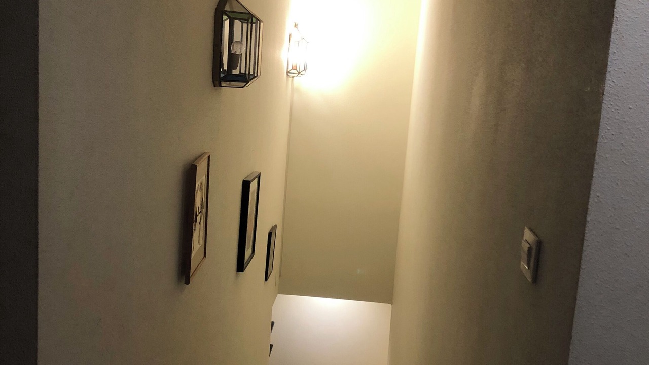 Photo of Others in Montreal