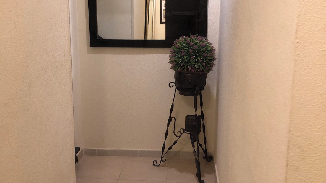 Photo of Others in Montreal