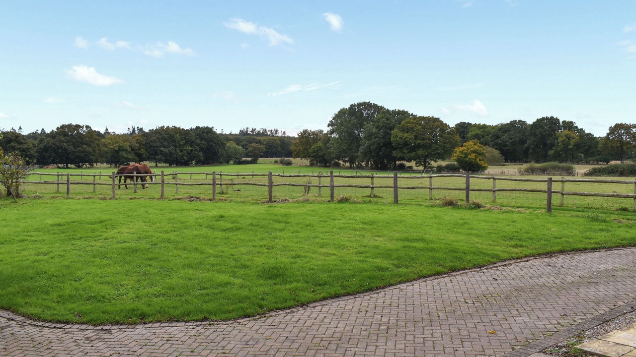 Photo of Outdoor in Woodchurch