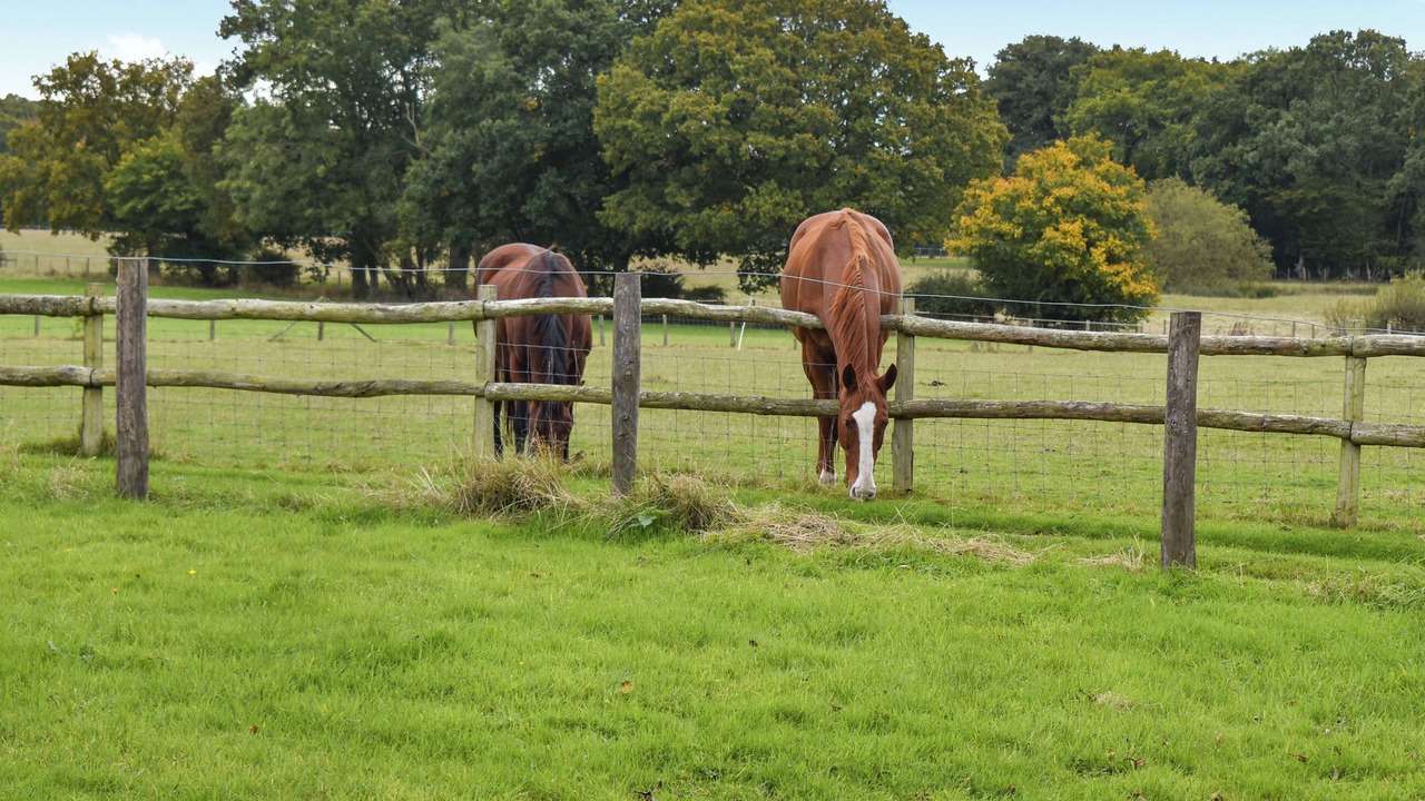 Photo of Others in Woodchurch