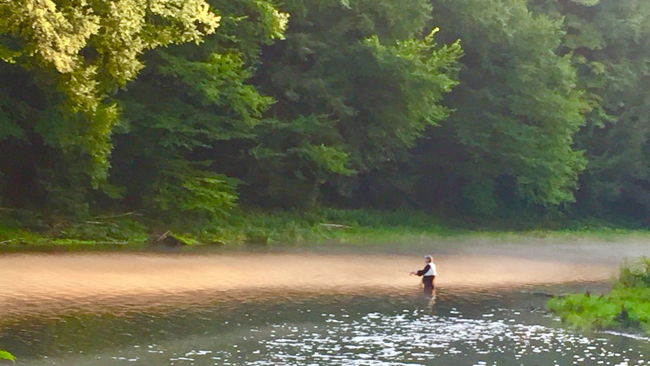 Photo of Others in East Branch