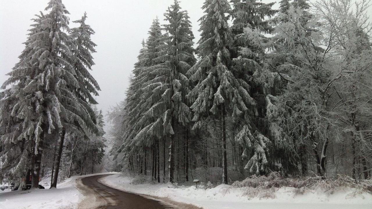 Photo of Others in East Branch