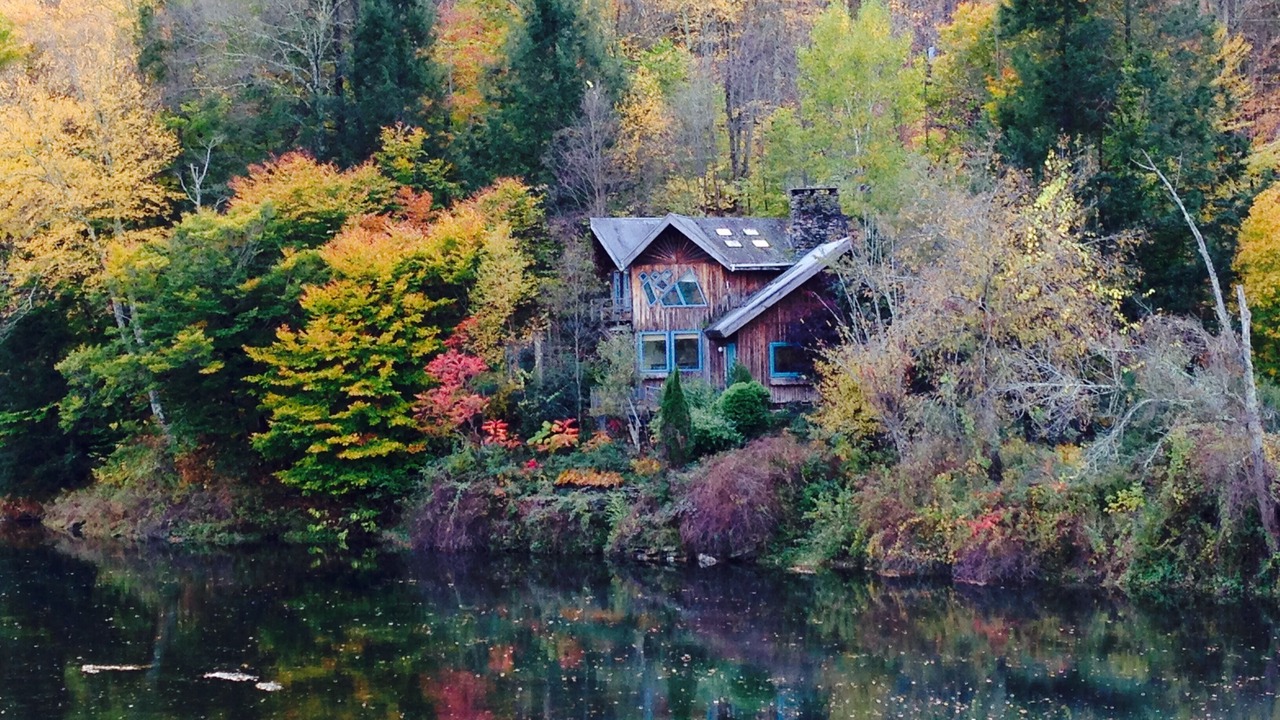 Photo of Others in East Branch