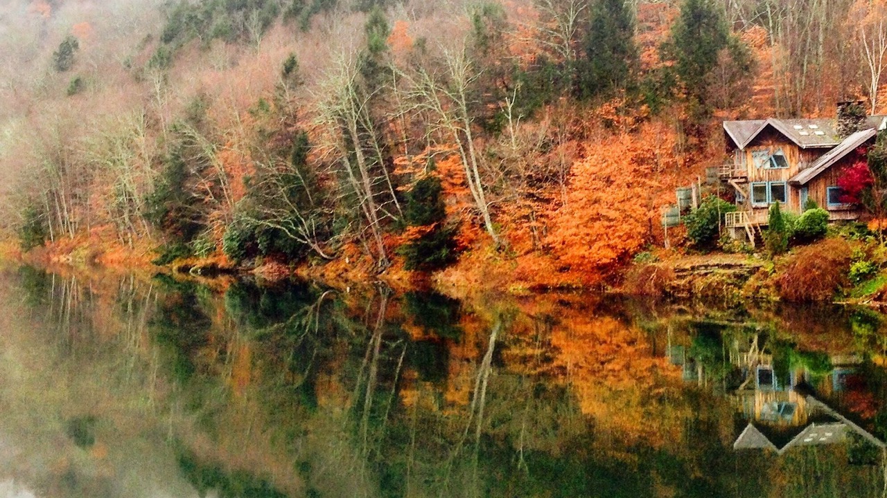 Photo of Others in East Branch