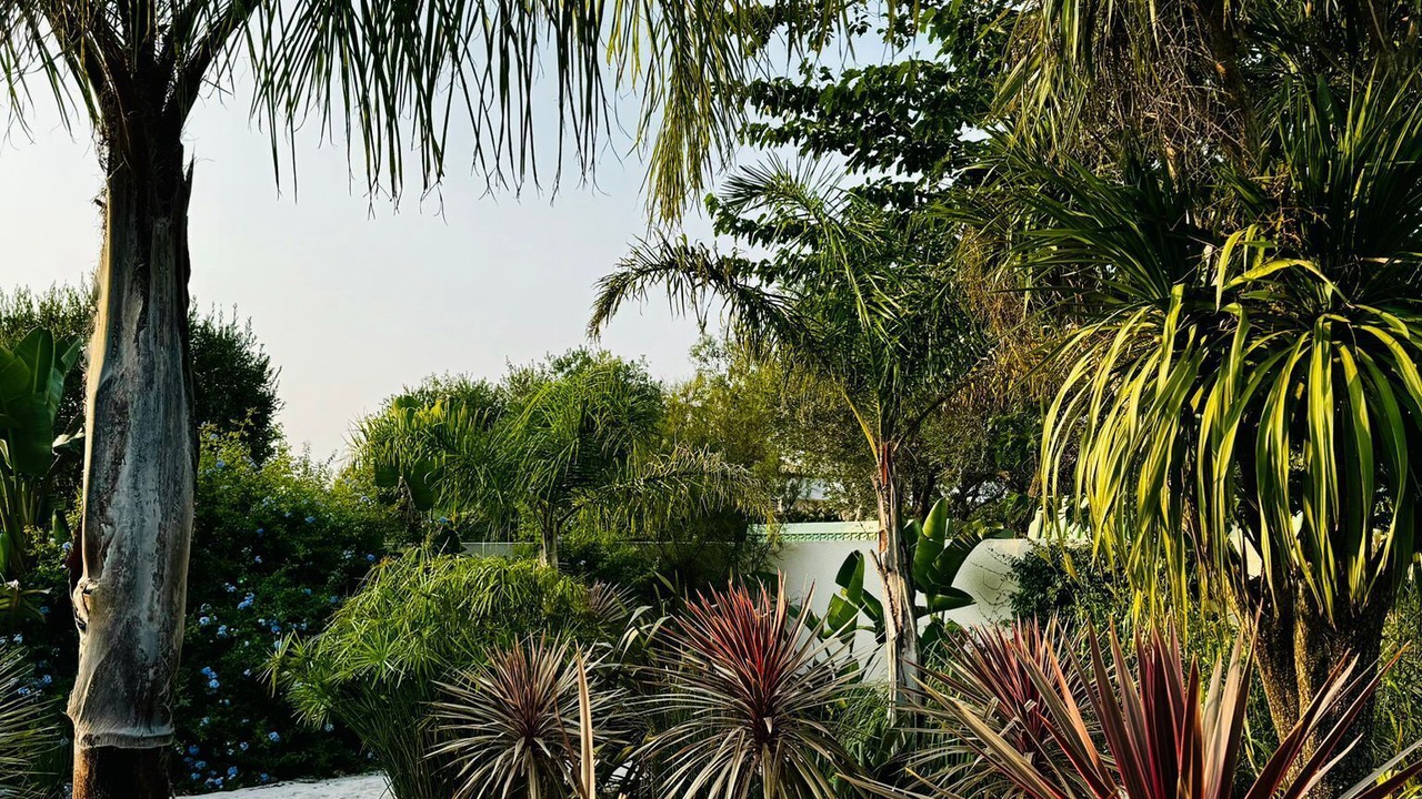 Photo of Outdoor in Argeles-sur-Mer