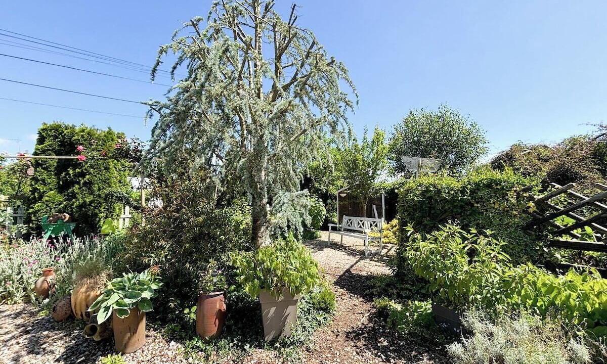 Photo of Outdoor in Auguaise