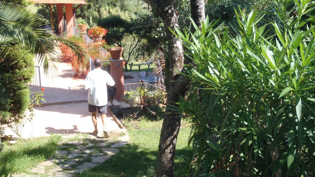 Photo of Outdoor in Le Lavandou