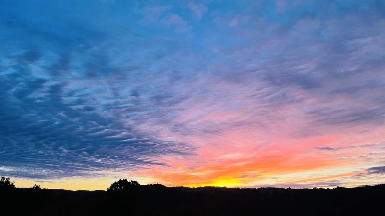 Photo of Others in Creemore