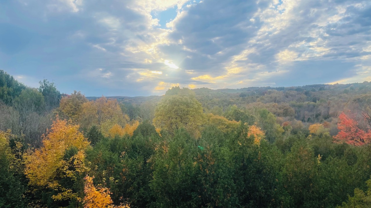 Photo of Others in Creemore