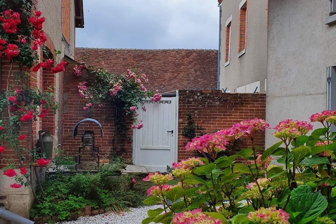 Photo of Outdoor in Coullons