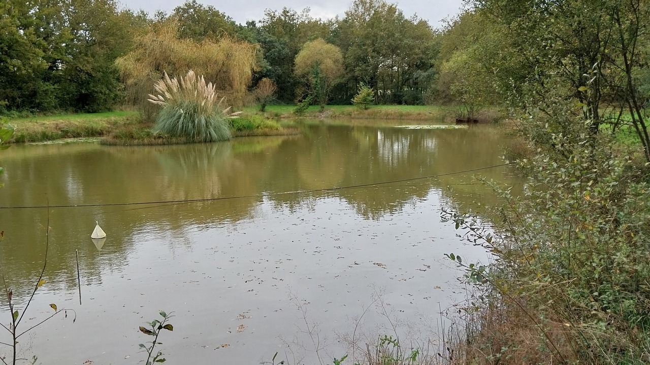 Photo of Others in Saint-Martin-du-Fouilloux