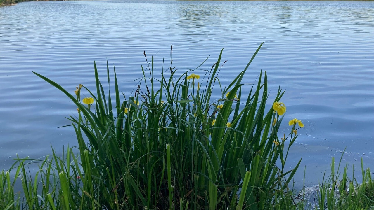 Photo of Others in Tracy-sur-Loire