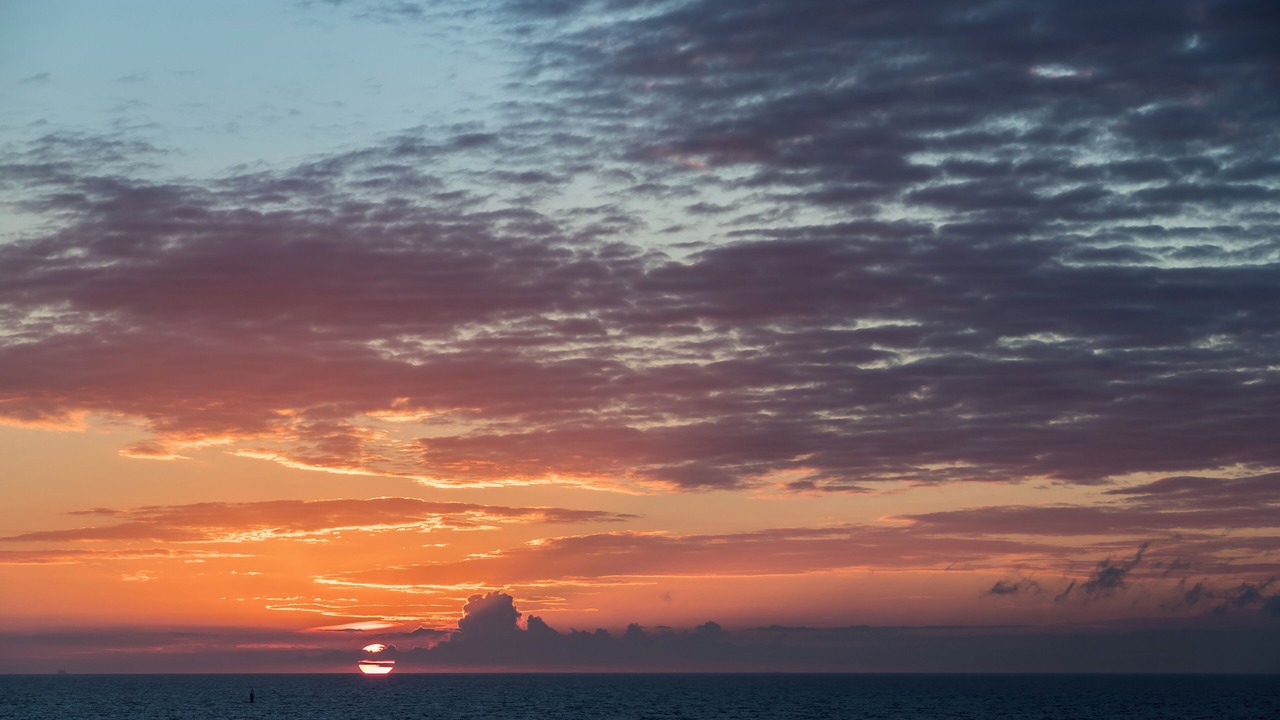 Photo of Others in Hornsea