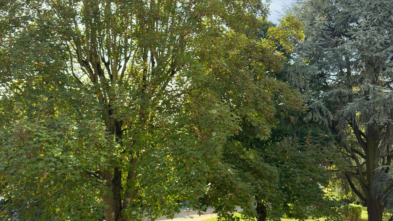 Photo of Others in Chilly-Mazarin