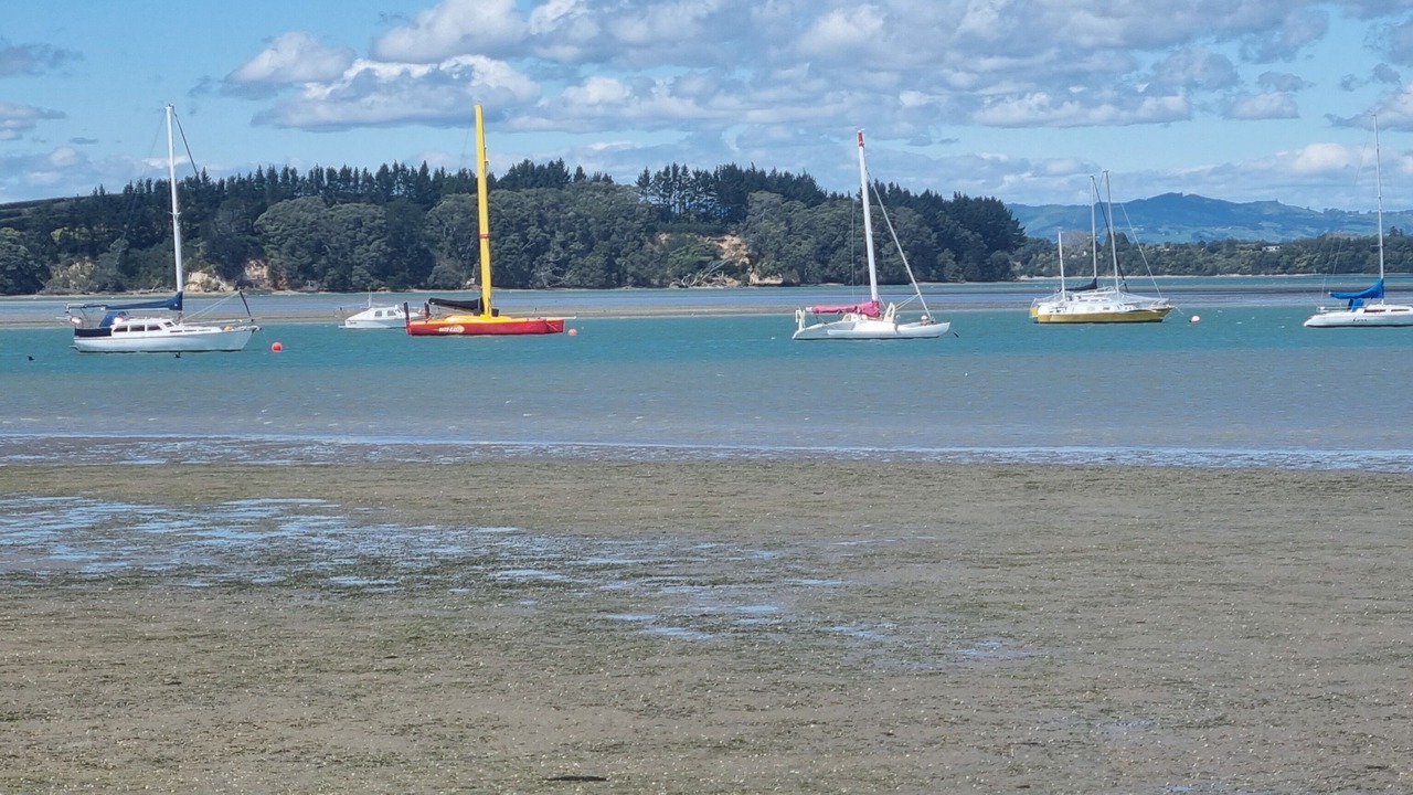 Photo of Others in Omokoroa