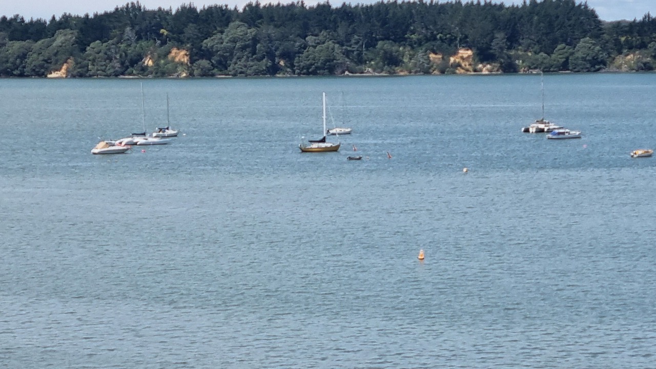 Photo of Others in Omokoroa