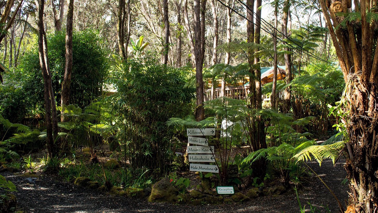 Photo of Outdoor in Volcano