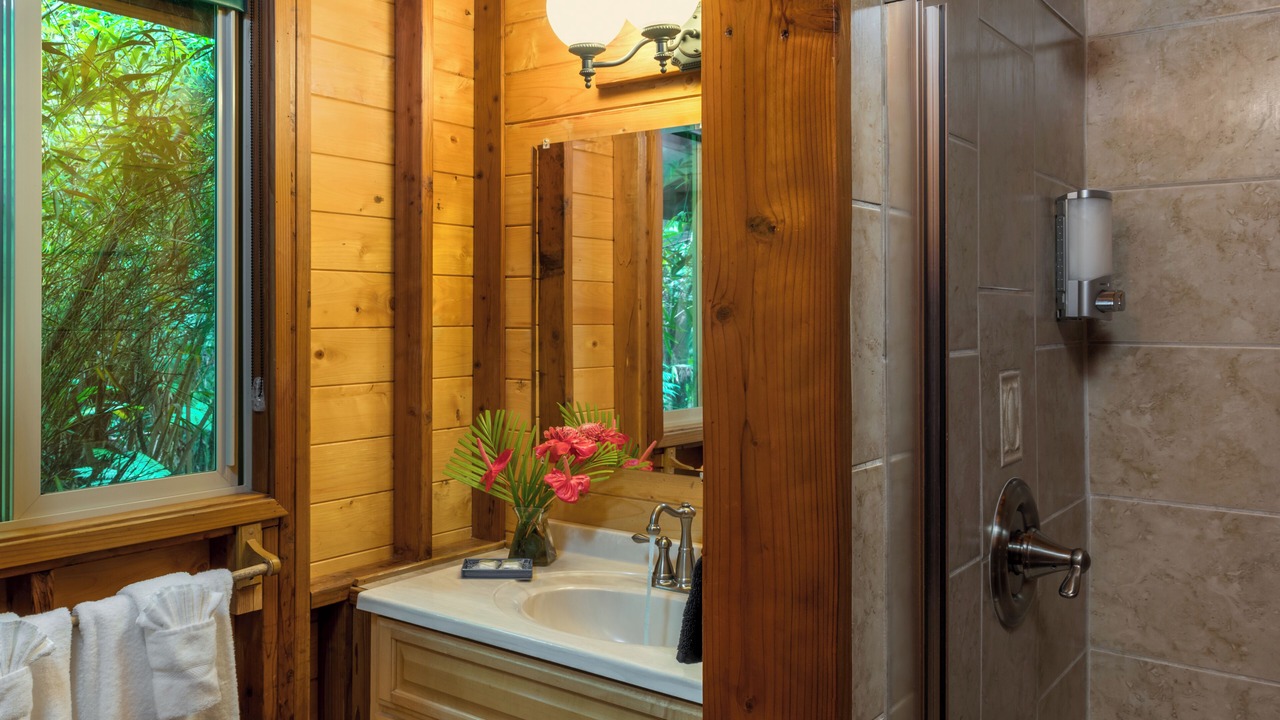 Photo of Bathroom in Volcano