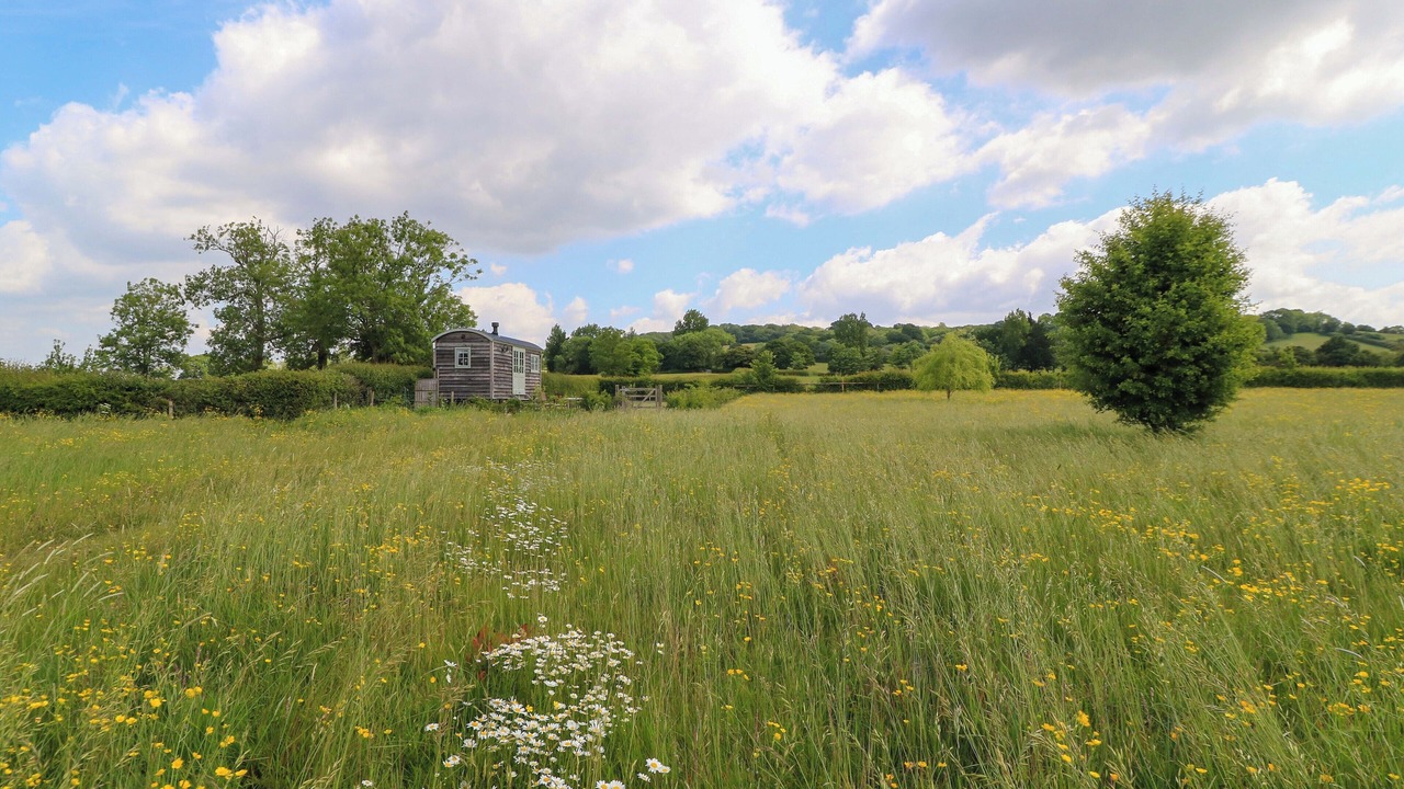 Photo of Others in Christian Malford