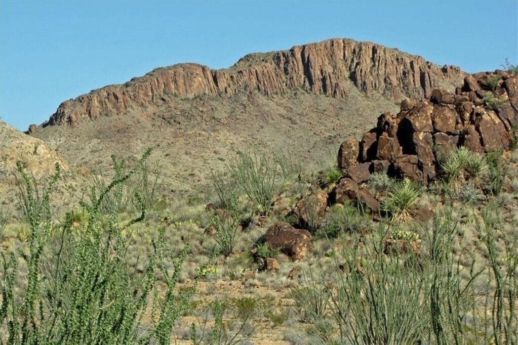 Photo of Others in Terlingua