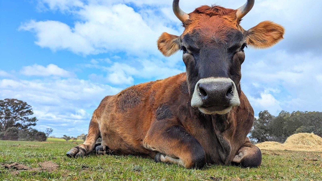 Photo of Others in Myrtle Creek