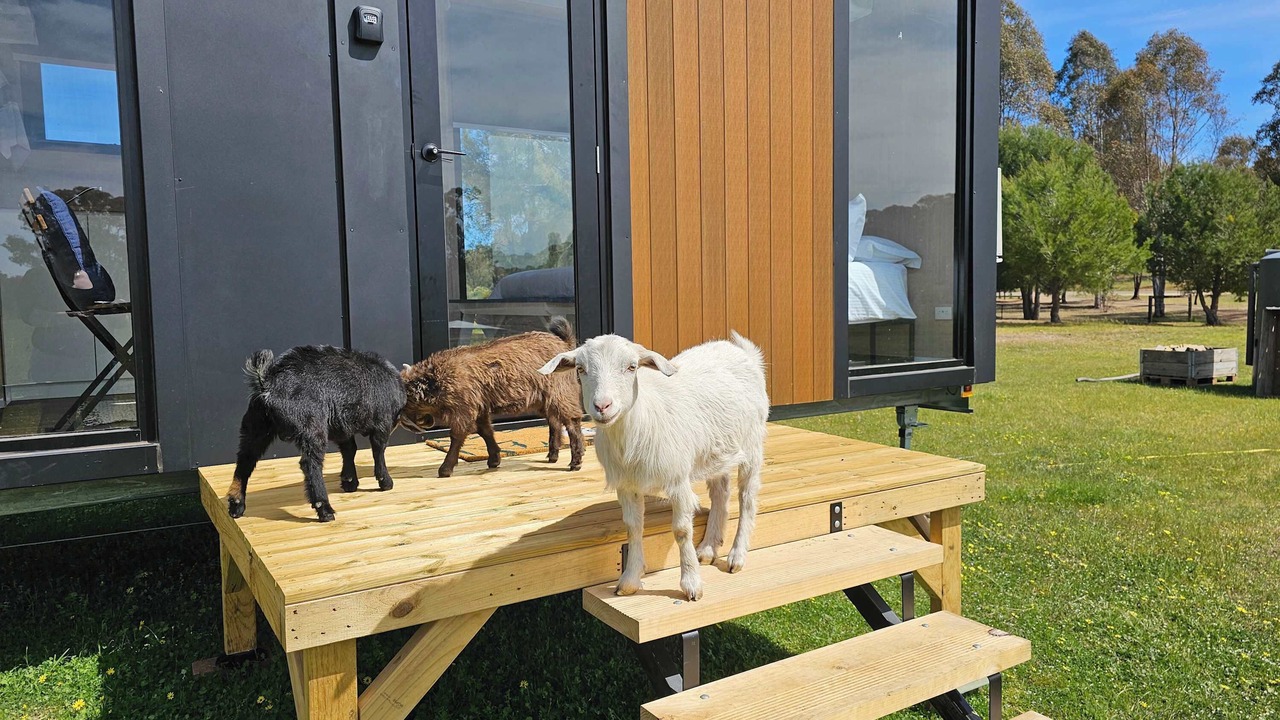 Photo of Outdoor in Myrtle Creek