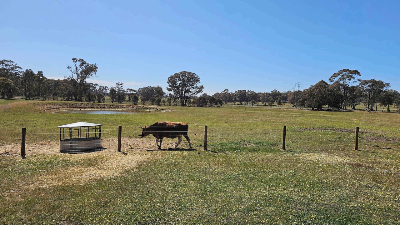 Photo of Outdoor in Myrtle Creek