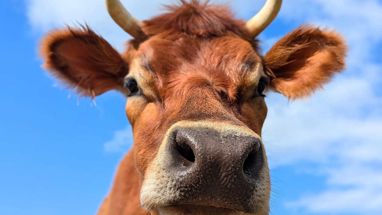 Photo of Others in Myrtle Creek